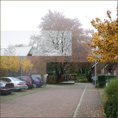 Herbst und Winter (2010-2011)
