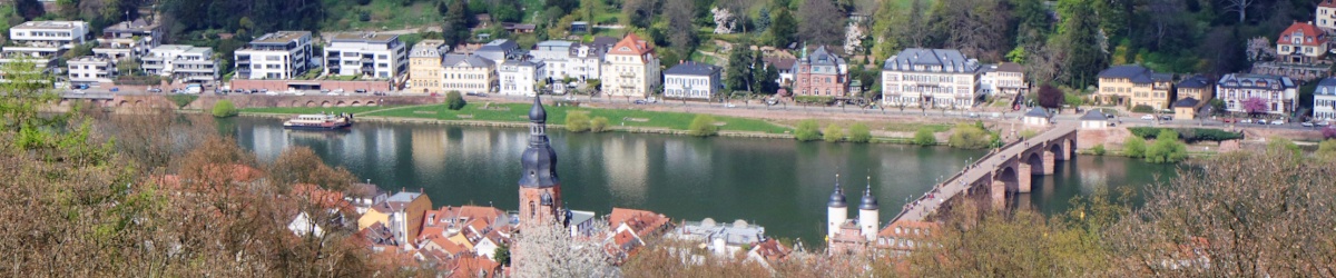 Blick auf Heidelberg, den häufigsten Seminarort