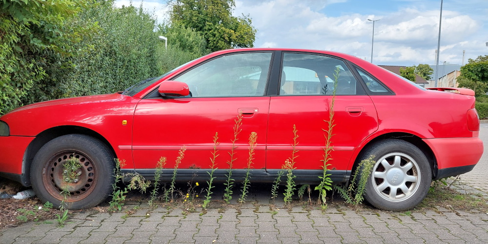 Roter Pkw, an dem Unkraut hochwächst